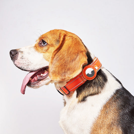 Premium Leather Airtag Dog Collar